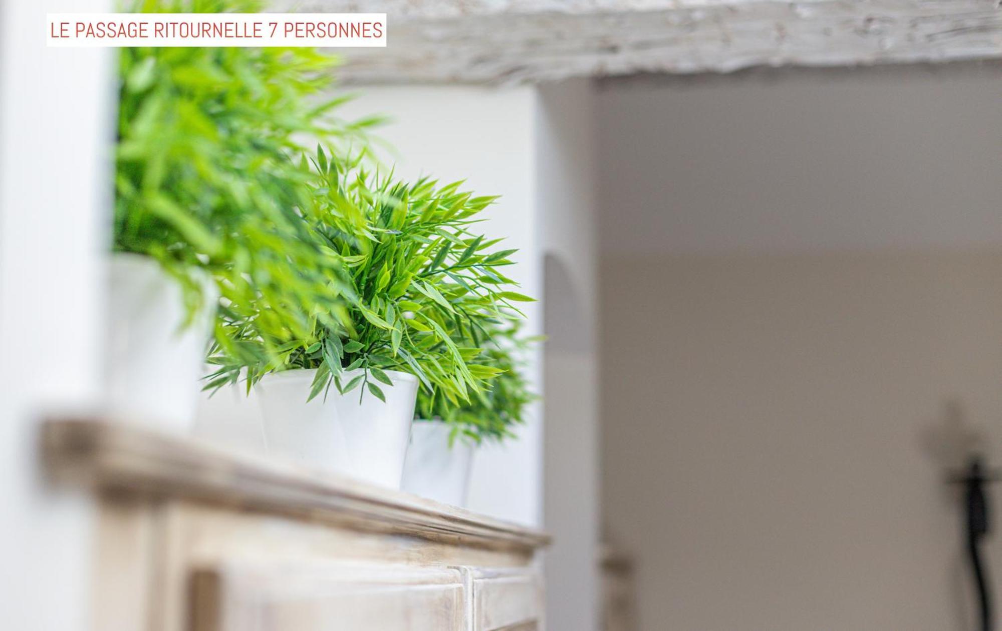 Bed and Breakfast Le Passage Carcassonne Exterior foto