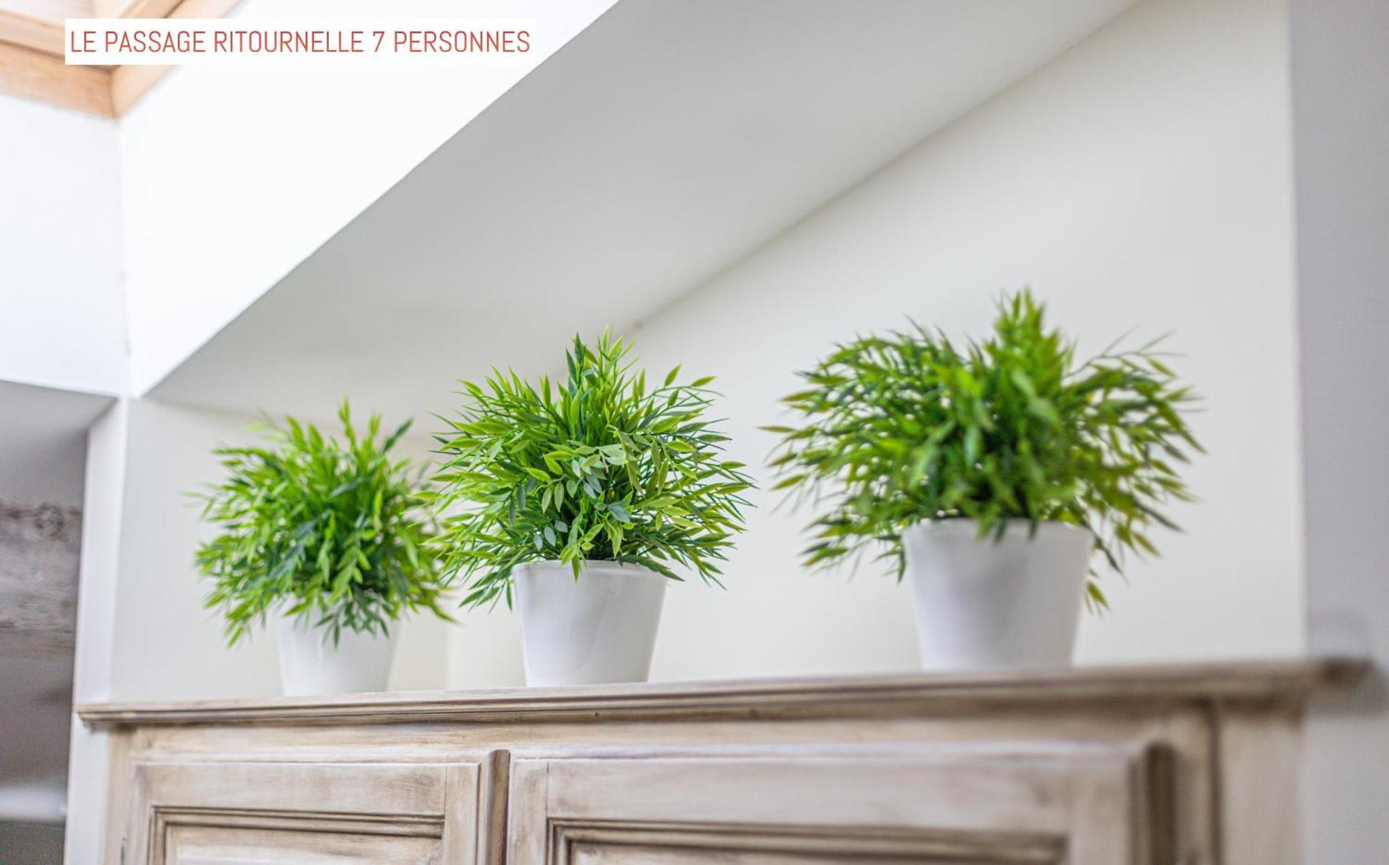Bed and Breakfast Le Passage Carcassonne Exterior foto