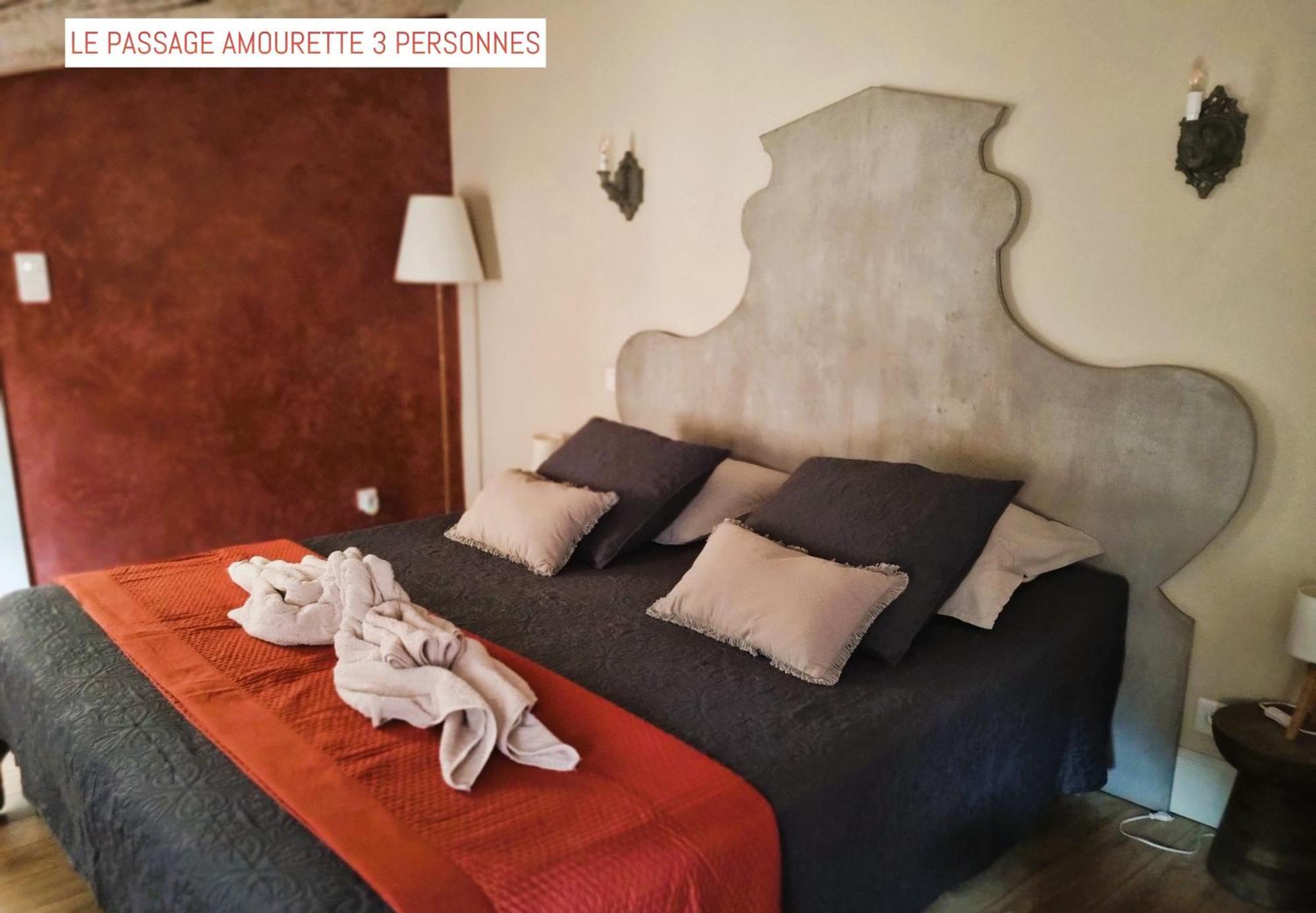 Bed and Breakfast Le Passage Carcassonne Exterior foto