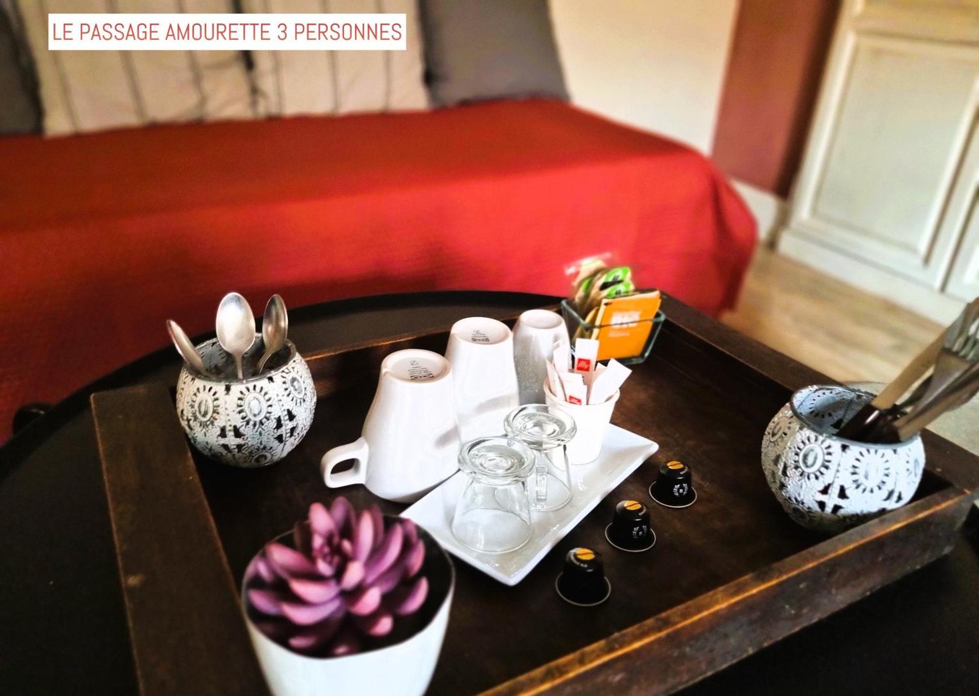 Bed and Breakfast Le Passage Carcassonne Exterior foto