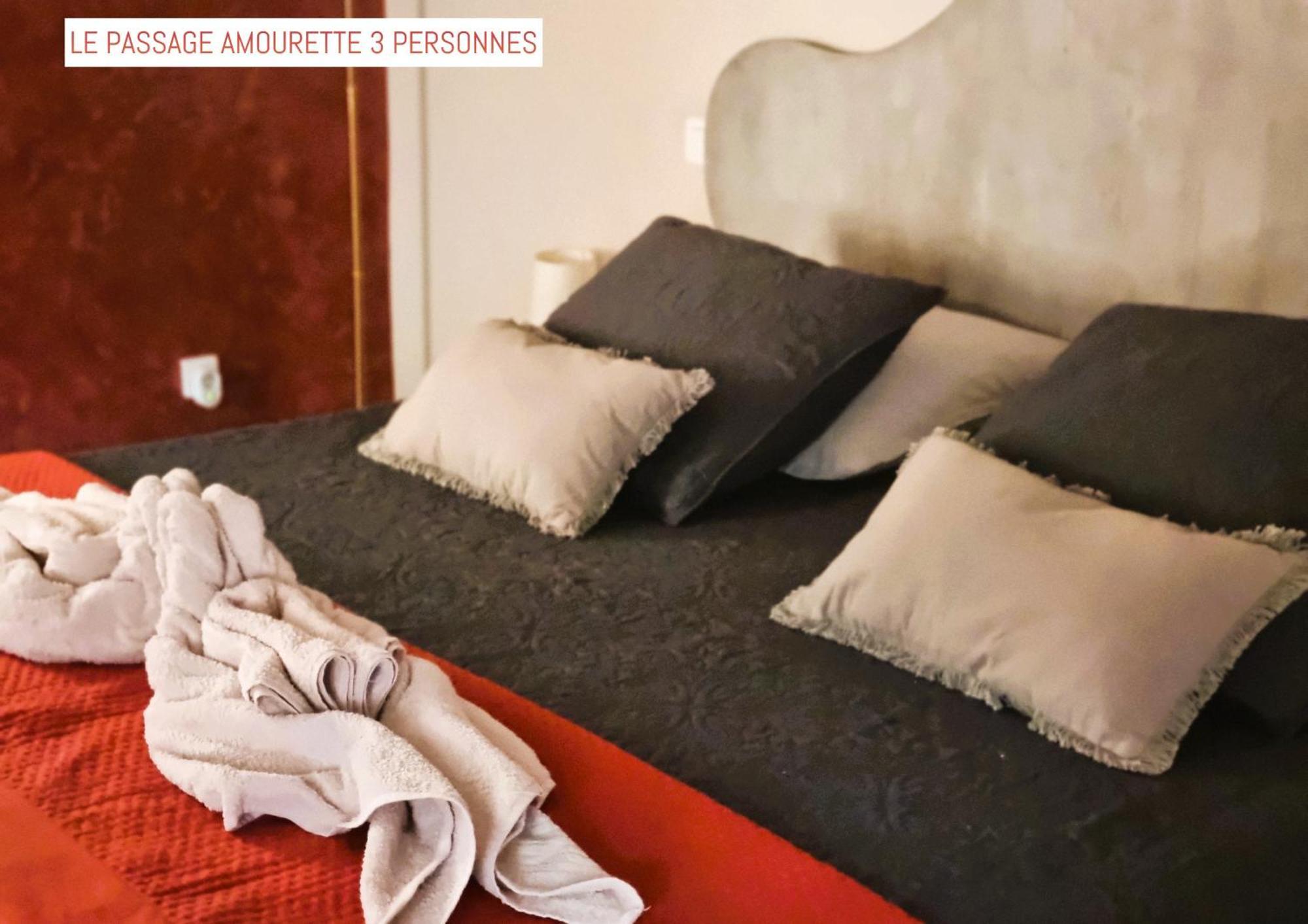 Bed and Breakfast Le Passage Carcassonne Exterior foto